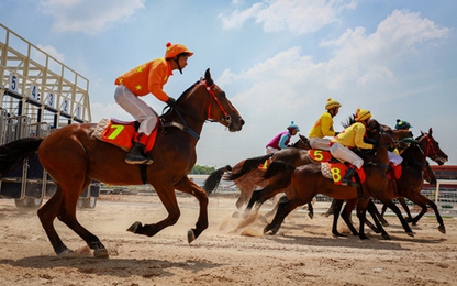 Chính phủ đồng ý bổ sung trường đua ngựa vào quy hoạch Hà Nội
