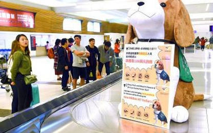 Đài Loan kiểm tra tất cả khách bay từ VN để ngăn dịch tả lợn