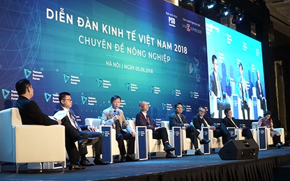 Diễn đàn đối thoại công - tư lớn nhất Việt Nam tại ViEF