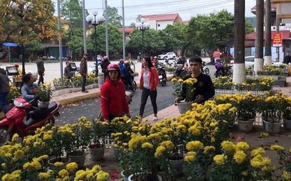 Dân đánh xe tải đến ga Đồng Đăng "hôi" hoa