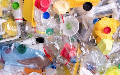 Châu Âu thông qua luật cấm sản phẩm nhựa sử dụng một lần