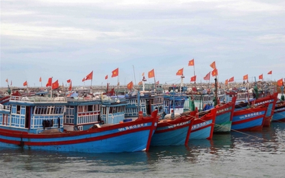 Hoàn thuế GTGT cho tàu cá đóng trước tháng 1/2015