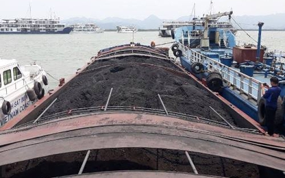 Cảnh sát bắt giữ tàu chở 900 tấn than lậu trên biển