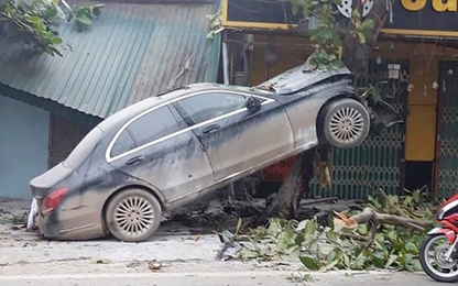 Ô tô Mercedes mất lái "trèo" lên cây bàng, người dân giải cứu tài xế