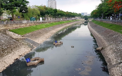 Sông Tô Lịch 'có thể thả cá' sau khi làm sạch bằng công nghệ Nhật