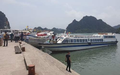 Quảng Ninh cấm tàu du lịch xuất bến vì ảnh hưởng của bão Mun