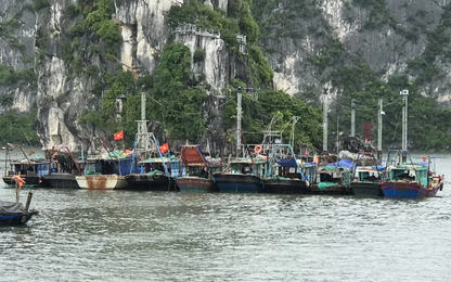 Quảng Ninh cấm tàu để tránh bão Wipha