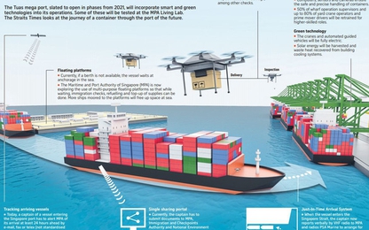 Choáng ngợp với siêu cảng container của Singapore