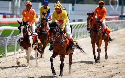Trường đua ngựa tại Sóc Sơn dự kiến hoạt động từ 2020