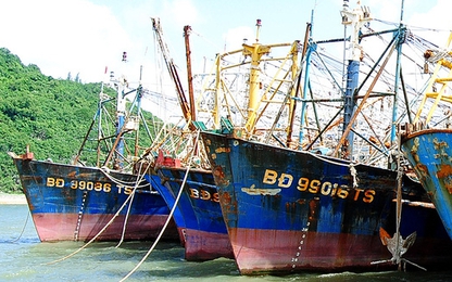 28 tàu cá Nghị định 67 bị bảo hiểm 'chê'