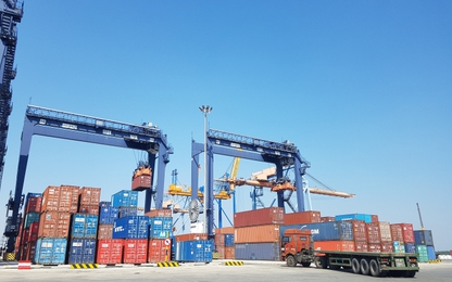 Tái xuất hàng chục container hàng phế liệu "chây ì" tại cảng Cát Lái