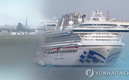 Hàn Quốc điều chuyên cơ tới đón công dân trên du thuyền Diamond Princess