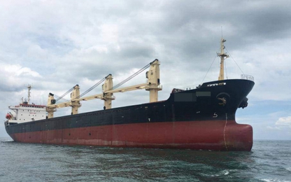 3 tàu biển Việt Nam bị lưu giữ tại cảng biển nước ngoài