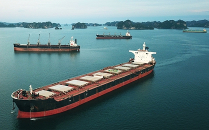 Quảng Ninh: Sớm đầu tư các khu neo đậu, chuyển tải cho tàu, thuyền