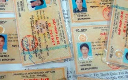 TP HCM: Phát hiện gần 1.100 giấy phép lái xe giả
