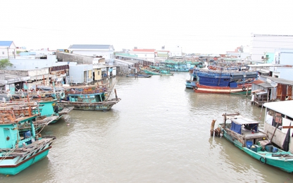 Cà Mau: Hơn 3.429 tàu thuyền được đưa vào nơi neo đậu tránh bão