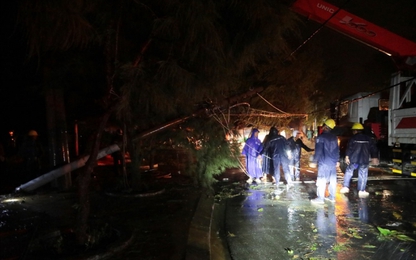 Hơn 2.000 người khắc phục bão số 9 tại Cần Giờ