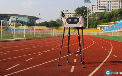 Kỷ lục robot đi bộ 133 km trong 54 giờ