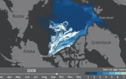 Băng ở Bắc Cực đã tan chảy như thế nào trong 25 năm qua?