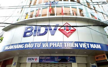 BIDV hỗ trợ 2,6 tỷ đồng tới địa phương ảnh hưởng do rét đậm