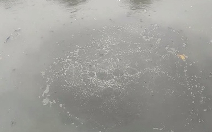 [Clip] Bùn đen và bọt khí sủi ùng ục trên kênh Nhiêu Lộc