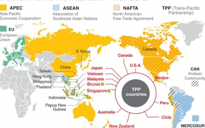 Hiệp định đối tác kinh tế xuyên Thái Bình Dương (TPP): Những cơ hội và thách thức đối với các doanh nghiệp cảng biển Việt Nam