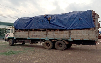 Trạm cân lưu động tỉnh Bình Phước xử phạt 607 xe vi phạm tải trọng