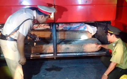 Cảnh sát giao thông Thừa Thiên Huế bắt giữ hơn 2 tấn gỗ lậu