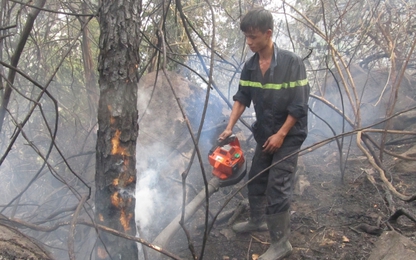 Cháy lớn tại rừng Nam Hải Vân, hàng trăm người tham gia dập lửa