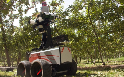 Hàng triệu nông dân sẽ sớm bị robot cướp mất việc làm