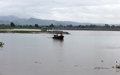 Gia Lai: Hàng trăm héc ta hoa màu bị ngập trong lũ