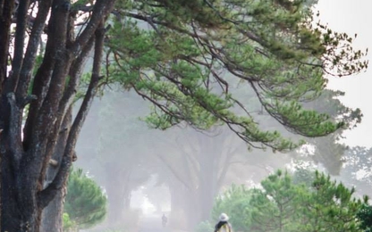 Gần 30 tỷ đầu tư du lịch cho "Đôi mắt Pleiku"