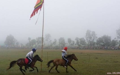 1,5 tỷ USD làm trường đua ngựa lớn nhất Việt Nam ở Vĩnh Phúc