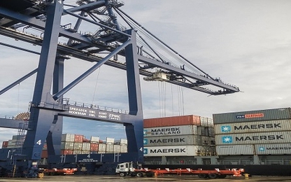 Công ty TNHH cảng Container quốc tế Cái Lân