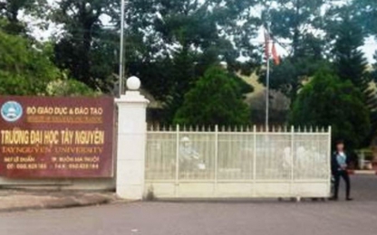 Một cán bộ trường Đại học Tây Nguyên bị bắt trên "chiếu bạc"