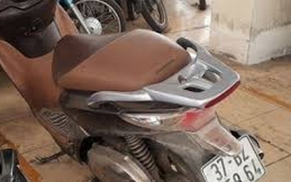Khởi tố bà bầu bóp cổ công an để em trai cướp xe