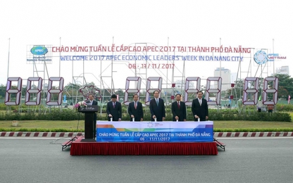 Chủ tịch nước kiểm tra công tác chuẩn bị Tuần lễ Cấp cao APEC 2017