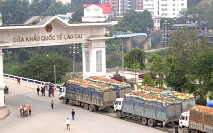 Nghiên cứu phát triển dịch vụ giao nhận hàng hóa tại các cửa khẩu quốc tế đường bộ giữa Việt Nam - Trung Quốc