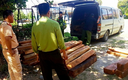Gia Lai: Không bắng lái, chở gỗ lậu trên xe hết niên hạn