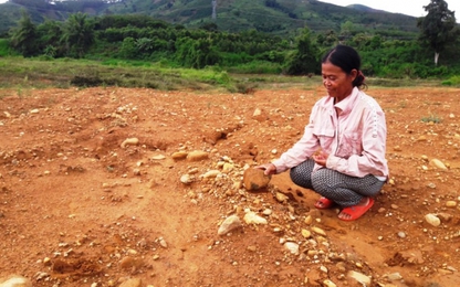 Khai thác vàng sa khoáng ở Kon Tum: Đất nông nghiệp biến thành...đất hoang