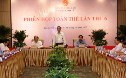 Ủy ban Kinh tế khai mạc Phiên họp toàn thể lần thứ 6