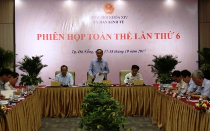 Thẩm tra dự án cảng hàng không quốc tế Long Thành