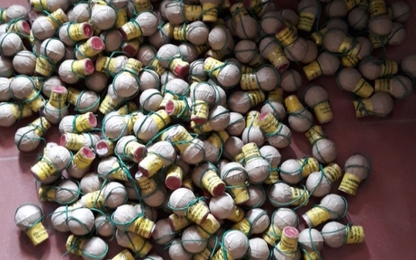 CSGT Bắc Giang bắt giữ xe khách mang 8,5 kg pháo nổ