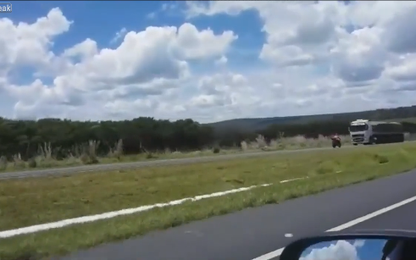 Người đi xe máy bỏ mạng vì chạy ngược chiều trên cao tốc