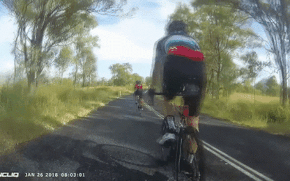 Clip: Kangaroo xuất hiện đột ngột, đá văng người phụ nữ đang đạp xe