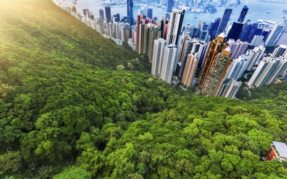 Cathay Pacific khuyến mãi hấp dẫn cho hành khách đi Hồng Kông