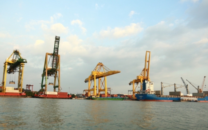 Cảng vụ TP.HCM xử phạt gần 1 tỷ đồng vi phạm lĩnh vực hàng hải