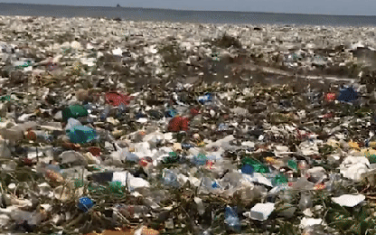 Clip gây sốc: Bờ biển ngập rác đến mức sóng không đánh nổi