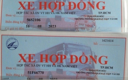 Sở GTVT TP.HCM đề nghị chưa phạt xe dưới 3,5 tấn chưa cấp phù hiệu
