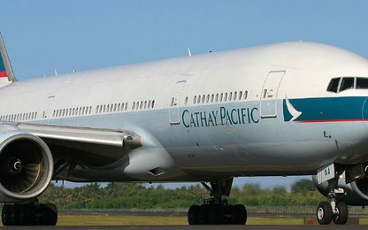 Trải nghiệm hương vị Hồng Kông trên các chuyến bay Cathay Pacific